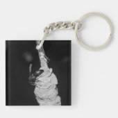 Brachygastra Schlüsselanhänger (Rückseite)