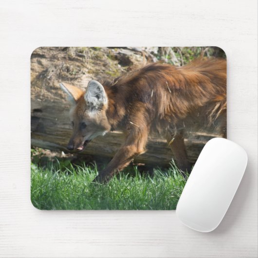 Brachyurus Mousepad (Mit Mouse)
