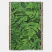 Bracken Farn mit Regentropfen, Washington Staat Decke (Vorderseite Vertikal)