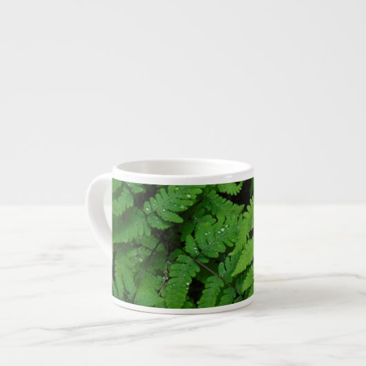 Bracken Farn mit Regentropfen, Washington Staat Espressotasse (Vorderseite Links)