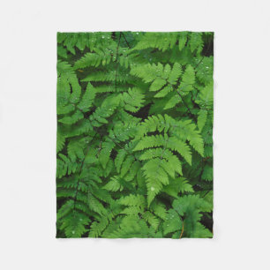 Bracken Farn mit Regentropfen, Washington Staat Fleecedecke