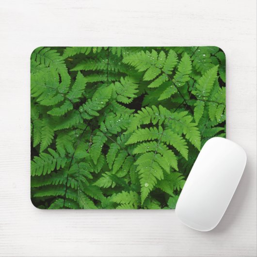 Bracken Farn mit Regentropfen, Washington Staat Mousepad (Mit Mouse)