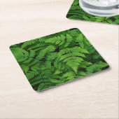 Bracken Farn mit Regentropfen, Washington Staat Rechteckiger Pappuntersetzer (angewinkelt)