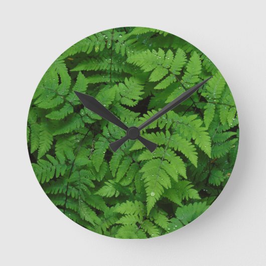 Bracken Farn mit Regentropfen, Washington Staat Runde Wanduhr (Vorderseite)