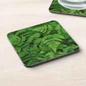 Bracken Farn mit Regentropfen, Washington Staat Untersetzer (Linke Seite)