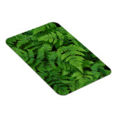 Bracken Farn mit Regentropfen, Washingtoner Staat Magnet (Rechte Seite)