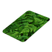 Bracken Farn mit Regentropfen, Washingtoner Staat Magnet (Linke Seite)