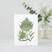 Bracken Postkarte (Stehend Vorderseite)