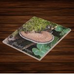Bracket Fungus Nature Foto Fliese<br><div class="desc">Für Natur- und Pilzfans! Keramik-Kachel mit dem Foto eines Bracket Fungus,  auch bekannt als Shelf Fungus,  der auf einem moosbedeckten Baumstamm wächst. Wählen Sie Ihre Kachelgröße aus. Eine tolle Küche trivet!</div>