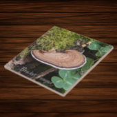 Bracket Fungus Nature Foto Fliese