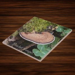 Bracket Fungus Nature Foto Fliese