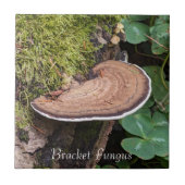 Bracket Fungus Nature Foto Fliese (Vorderseite)