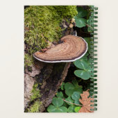 Bracket Fungus Nature Foto Notizblock (Rückseite)
