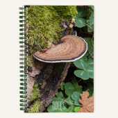 Bracket Fungus Nature Foto Notizblock (Vorderseite)