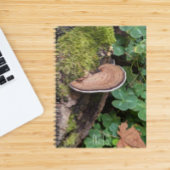 Bracket Fungus Nature Foto Notizblock