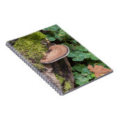 Bracket Fungus Nature Foto Notizblock (Rechte Seite)