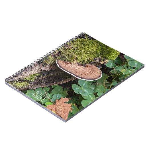 Bracket Fungus Nature Foto Notizblock (Linke Seite)