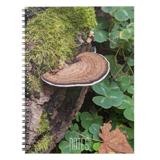 Bracket Fungus Nature Foto Notizblock (Vorderseite)