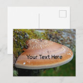 Bracket-Pilz - anpassbare Postkarte (Vorne/Hinten)