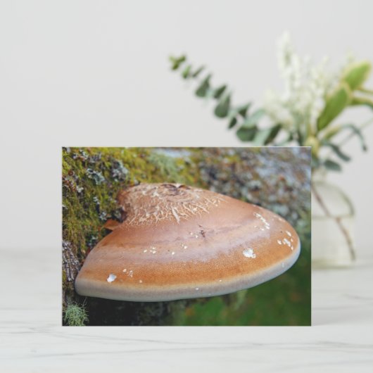 Bracket-Pilz-Karte (Stehend Vorderseite)