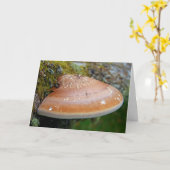 Brackpilz Karte (Gelbe Blume)