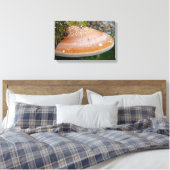 Brackpilz Leinwanddruck (Insitu (Schlafzimmer))