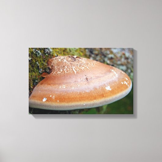 Brackpilz Leinwanddruck (Vorderseite)
