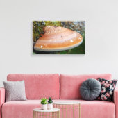 Brackpilz Leinwanddruck (Insitu (Wohnzimmer))