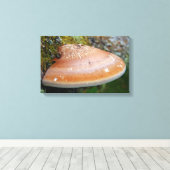 Brackpilz Leinwanddruck (Insitu (Holzboden))