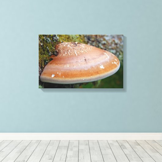 Brackpilz Leinwanddruck (Insitu (Holzboden))