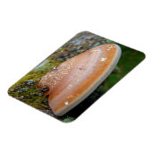 Brackpilz Magnet (Linke Seite)