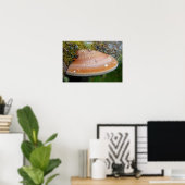 Brackpilz Poster (Heimbüro)