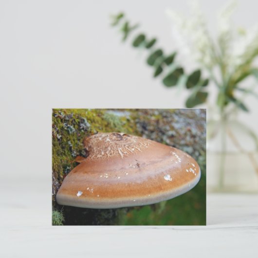 Brackpilz Postkarte (Stehend Vorderseite)