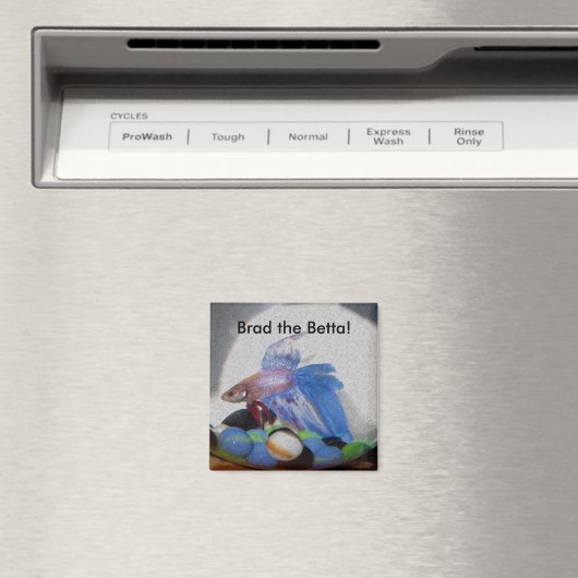 Brad die Betta! Magnet (In Situ (Geschirrspüler))