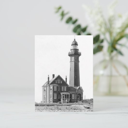 Braddock Point Lighthouse Postkarte (Stehend Vorderseite)