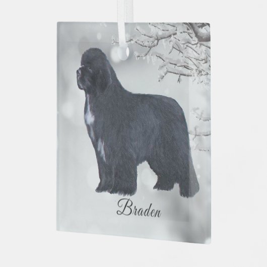 Braden Newf for Carol Ornament Aus Glas (Vorderseite links)