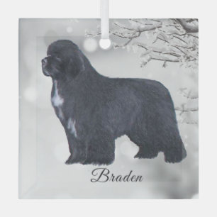 Braden Newf für Carol Ornament Aus Glas