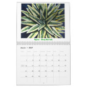Bradford-Birne, 2011, Bradford-Birne TreesMichael… Kalender (Mär 2027)