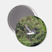 Bradford Lake Loon Magnet (Vorderseite/Rückseite)