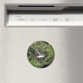 Bradford Lake Loon Magnet (In Situ (Geschirrspüler))