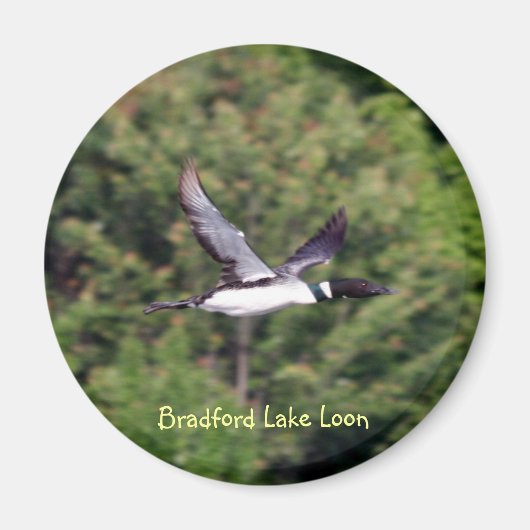 Bradford Lake Loon Magnet (Vorne)