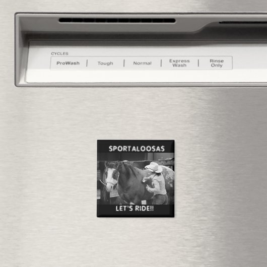 Bradford Lasse Ride Magnet (In Situ (Geschirrspüler))