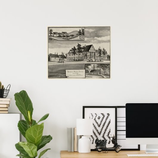 Bradford Mineral Springs Poster (Heimbüro)