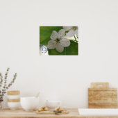 Bradford Pear Bloom Poster (Küche)