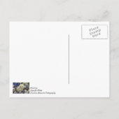 Bradford Pear Blooms denken an Sie Postkarte (Rückseite)