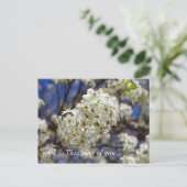 Bradford Pear Blooms denken an Sie Postkarte (Stehend Vorderseite)
