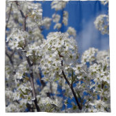 Bradford Pear Blooms Duschvorhang (Vorderseite)