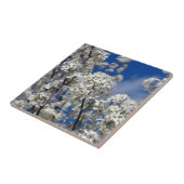Bradford Pear Blooms Fliese (Seite)