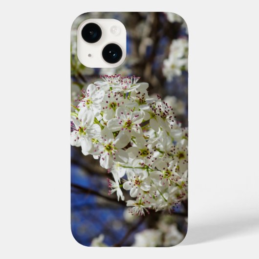 Bradford Pear Blooms iPhone Case (Rückseite)