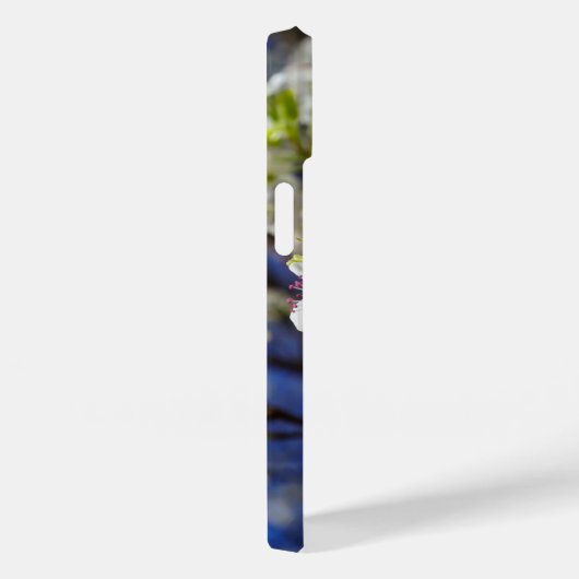 Bradford Pear Blooms iPhone Case (Rückseite / Rechts)